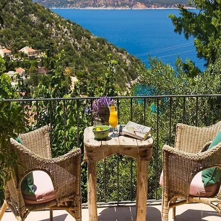 Fidanka Kalkan