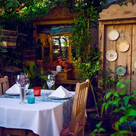 Fidanka Kalkan