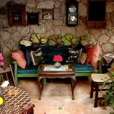 Fidanka Kalkan