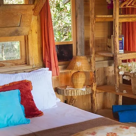 Fidanka Kalkan