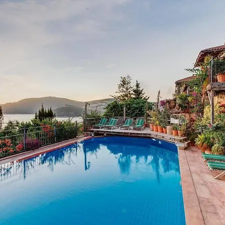 Fidanka 3* Kalkan